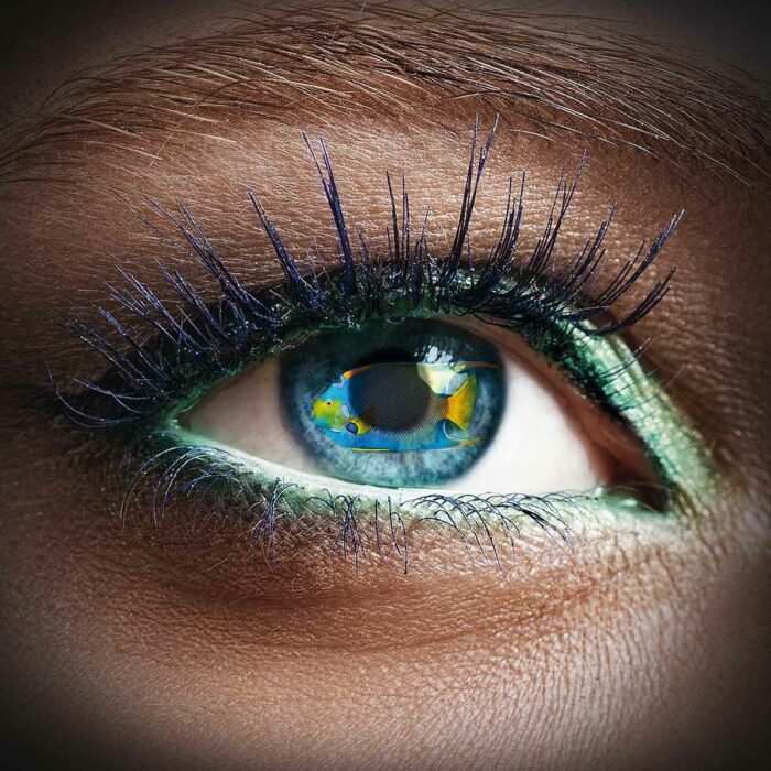 Auge mit Fischpupille